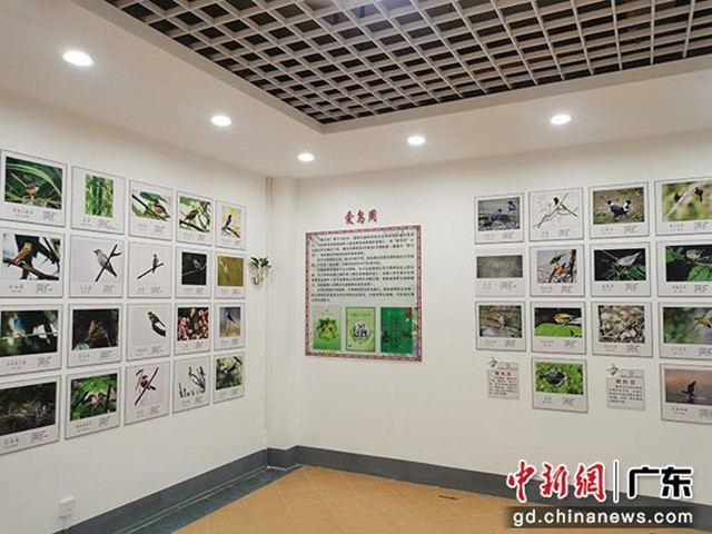 樂(lè)昌首家野生鳥(niǎo)類展覽館開(kāi)放，設(shè)計(jì)建筑面積約170多平米