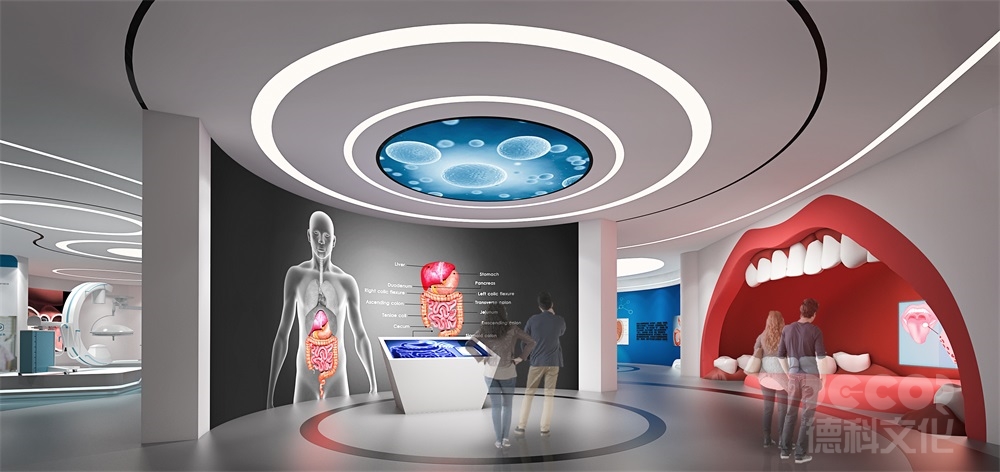 科技館設(shè)計如何劃分展區(qū)（如物理、生物、航天等）？